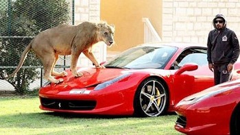 Koleksi mobil-mobil mewah Humaid bersama dengan salah satu hewan buasnya. (Foto: Instagram/humaidalbuqaish)