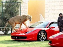 Potret Kemesraan Pria Arab dengan Singa Hingga Macan Tutul