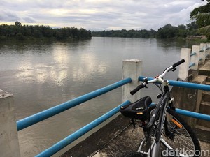 Dampak Luapan Sungai Kampar: Permukiman Banjir dan Gagal Panen