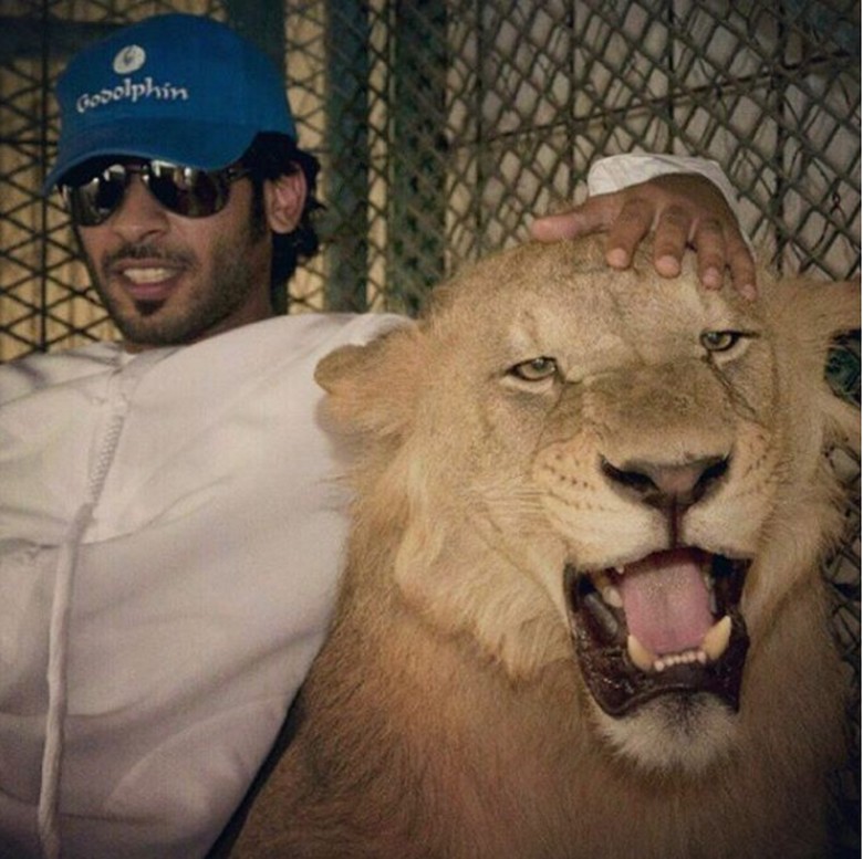 Potret Kemesraan Pria Arab Dengan Singa Hingga Macan Tutul Foto 12
