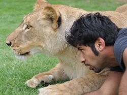 Potret Kemesraan Pria Arab dengan Singa Hingga Macan Tutul