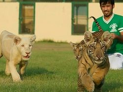 Potret Kemesraan Pria Arab dengan Singa Hingga Macan Tutul