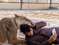 Potret Kemesraan Pria Arab dengan Singa Hingga Macan Tutul