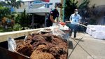 Polda Metro Jaya Musnahkan Barbuk Narkoba