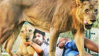 Humaid juga memiliki halaman luas, untuk bermain-main dengan mereka.  (Foto: Instagram/humaidalbuqaish)