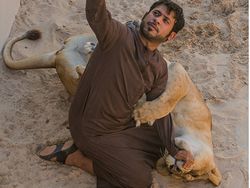 Potret Kemesraan Pria Arab dengan Singa Hingga Macan Tutul