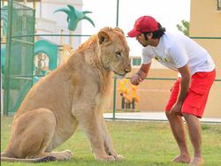 Potret Kemesraan Pria Arab dengan Singa Hingga Macan Tutul