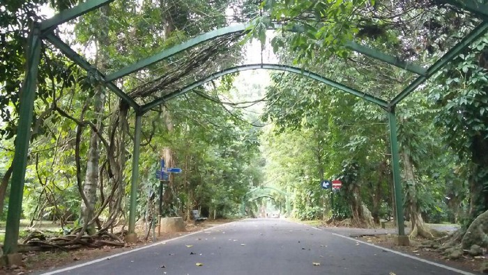 Penampakan Kebun Raya Bogor