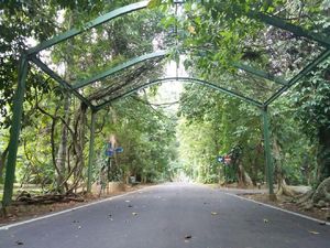 Kebun Raya Bogor dan Kebun Raya Cibodas Kembali Buka 7 Juli