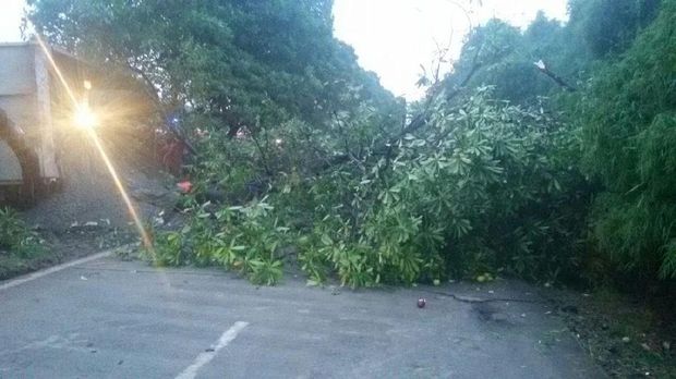 Truk Kontainer Terguling di KM 51 Tol Cakung, Macet 2 km
