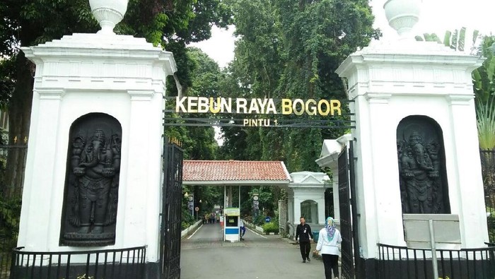 Cari yang Segar-Segar, Yuk Libur Akhir Pekan di Kebun Raya Bogor
