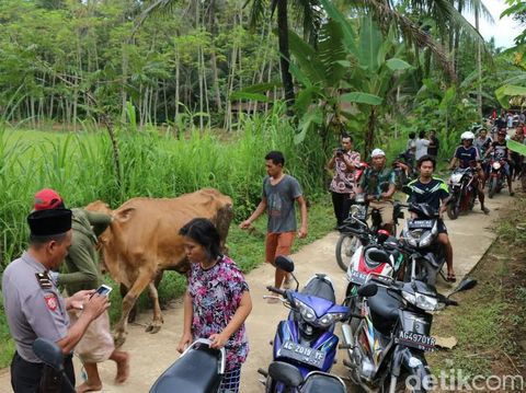 Warga Trenggalek menyelamatkan diri saat tanah bergerak