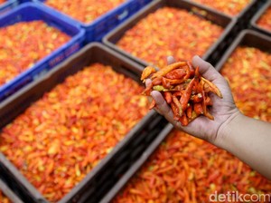 Harga Sembako Jogja Hari Ini 18 Desember 2025: Cabai Rawit Merah Ambles!