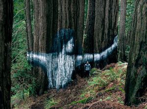 Seniman Hawaii Bikin Mural di Tengah Hutan Belantara