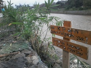 Antisipasi Cimanuk Meluap, Warga Tanam Pohon di Bantaran Sungai