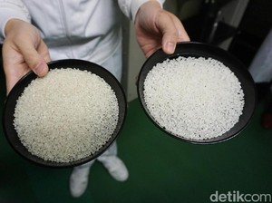 Harga Beras di Jepang Tembus Rp 86.156/Kg, RI Waspada Krisis Pangan Global