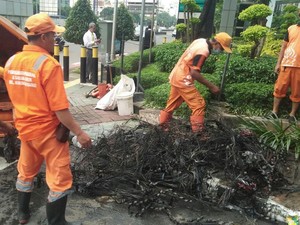 Pasukan Biru dan Pasukan Oranye Lanjut Buru Kulit Kabel di Got