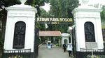 Jalan-jalan Sehat, Yuk Berakhir Pekan di Kebun Raya Bogor