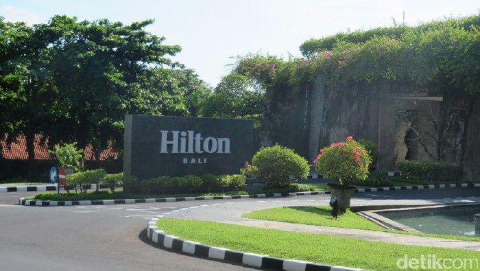 Unta di Dekat St Regis Bukan untuk Rombongan Raja Salman