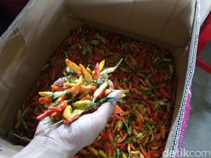 Selain Permintaan Tinggi, Ini Penyebab Lain Kenaikan Harga Cabai di Bulan Puasa