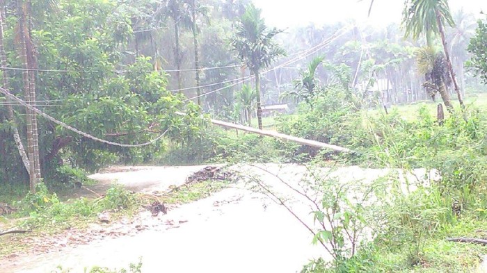 Perbaikan Jaringan Listrik di Sumbar Terhambat Longsor