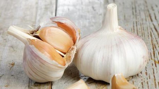 Bawang putih.