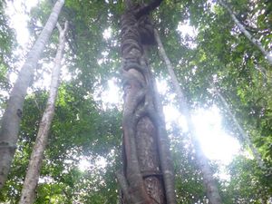 Melupakan Hutan Adat
