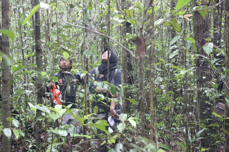 Kutukan Pohon Ulin dan Kisah Siti Maimunah di Hutan Adat Kutukan Pohon Ulin dan Kisah Siti Maimunah di Hutan Adat