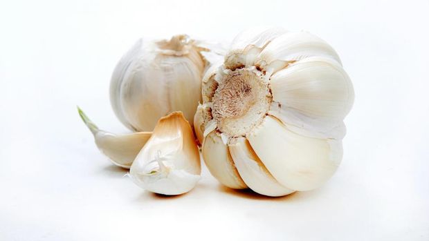 Bawang putih yang mengandung anti bakteri bisa tangkal flu.