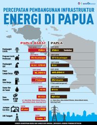 Jokowi Genjot Infrastruktur Energi di Papua