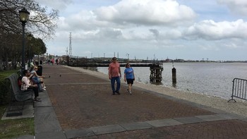 Sungai Mississippi, Missouri, dan Jefferson membentuk sistem sungai terpanjang keempat di dunia. Sistem sungai ini mengalir di 31 negara bagian di Amerika Serikat dan dua provinsi di Kanada. Sungai Mississippi  berasal dari Minnesota utara, di mana Danau Itasca dianggap sebagai sumbernya. Sungai ini kemudian mengalir ke Teluk Meksiko. Foto: (Angga/detikTravel)