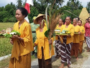 Wiwitan, Upacara Panen Padi di Yogyakarta yang Nyaris Punah