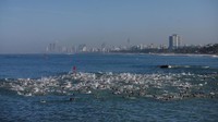Sejumlah peserta harus berenang sejauh 2 mil atau 3,2 kilometer.