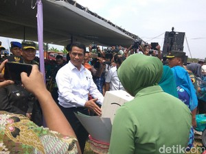 Mentan Siapkan Benih Jagung untuk 50 Ribu Ha Lahan di Jatim