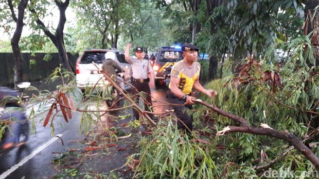 Ini Lokasi Pohon Tumbang akibat Hujan Disertai Angin di Surabaya