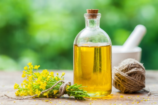 Ini Cara Tepat Menggunakan Minyak Canola dan Minyak Zaitun
