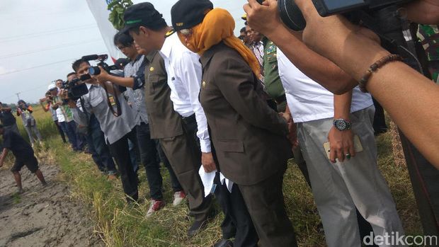 Mentan kunjungan kerja di Lamongan