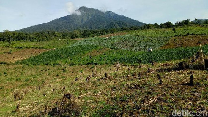 Pendakian Gunung Ijen Saat Malam Hari Masih Ditutup