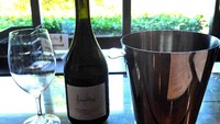 Di akhir program, traveler dapat berwisata menyicipi wine produksi dari perkebunan Audrey Wilkinson. Kalau berminat kamu bisa membawanya pulang sebagai oleh-oleh lho traveler (Wahyu/detikTravel)