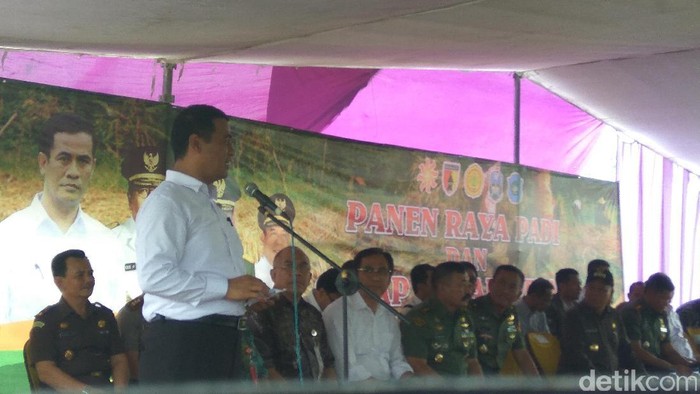 Mentan Jamin Bulog Serap Gabah Petani