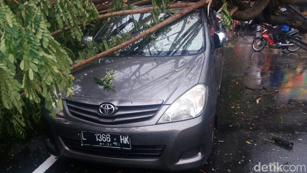 Ini Lokasi Pohon Tumbang akibat Hujan Disertai Angin di Surabaya