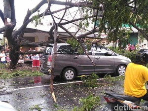 Hujan Deras Disertai Angin, Di Rungkut Pohon Tumbang Timpa Innova