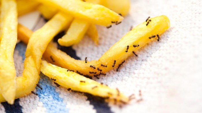 Foto: iStock Foto: iStock