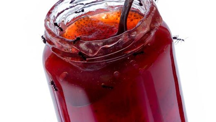 Foto: iStock Foto: iStock