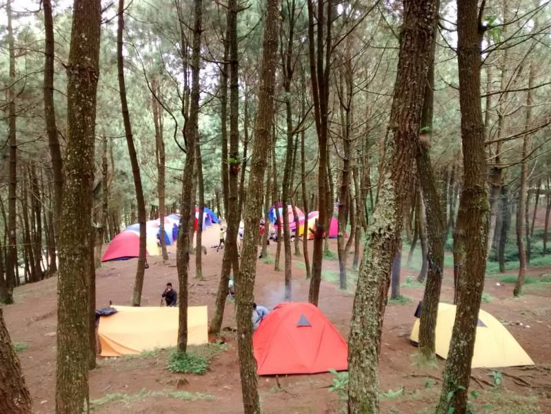 Kemping di Gunung Bunder