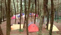 Jika ingin liburan adem tanpa harus ke Lembang, Gunung Bunder di Bogor bisa jadi pilihan. Kawasan ini menyuguhkan pemandangan Gunung Salak dan hutan pinus hijau dengan udara sejuk khas ketinggian 750-1.050 mdpl. Cocok untuk traveler yang ingin menenangkan pikiran di tengah alam. (Roberto Tambunan/dTraveler)