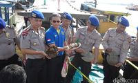 2 Kapal Pengangkut 8 Ribu Ketam Diamankan di Banyuasin Sumsel