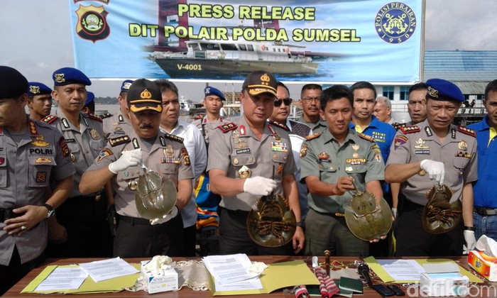 2 Kapal Pengangkut 8 Ribu Ketam Diamankan di Banyuasin Sumsel