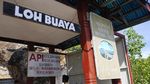 Potret Naga Purba di Taman Nasional Komodo