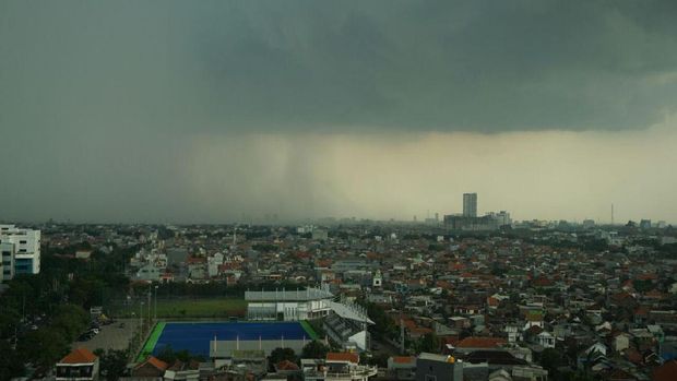 Hujan Angin Kembali 'Mengamuk' di Surabaya, Pohon Bertumbangan